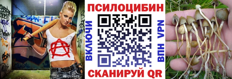 Галлюциногенные грибы Psilocybe  продажа наркотиков  Ржев 
